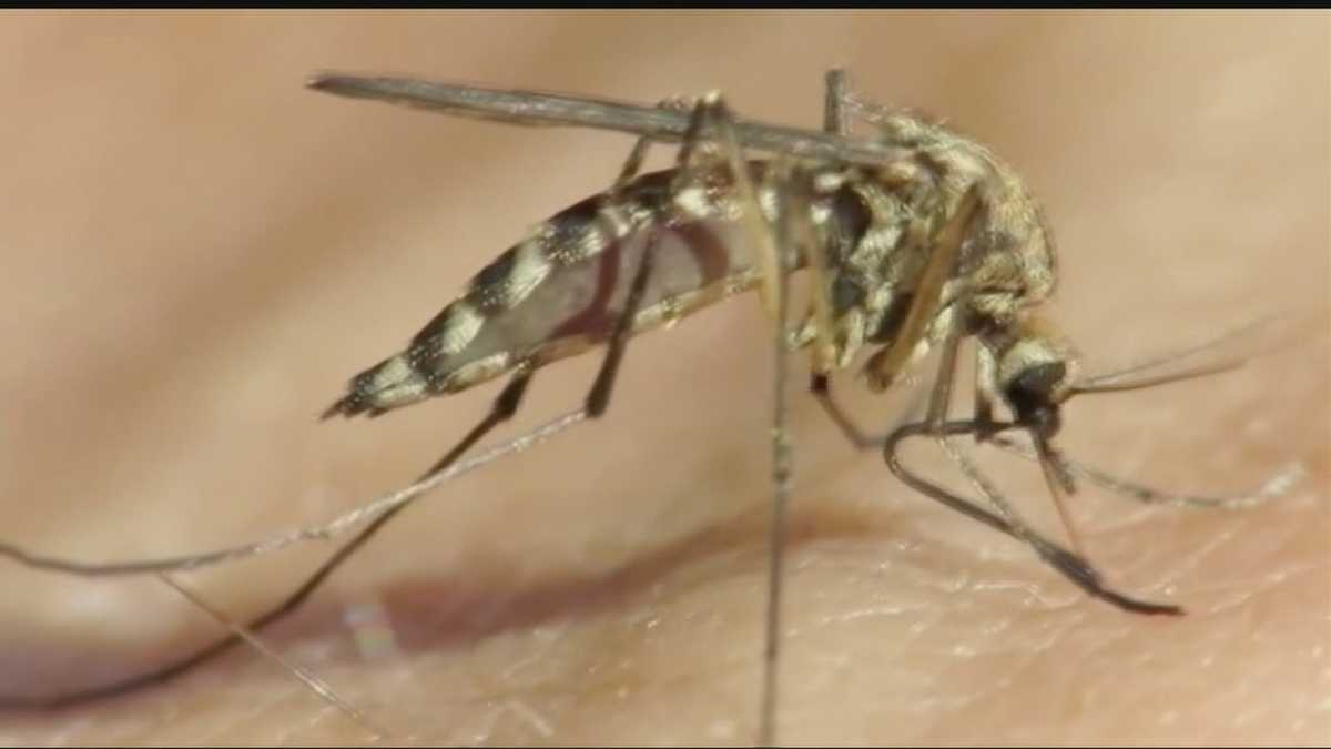 Possible West Nile virus human case reported in Oklahoma County, officials say – KOCO Oklahoma City