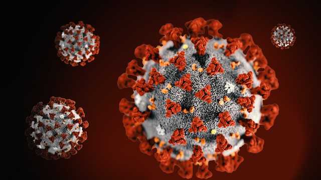 Maine CDC reports 25 additional coronavirus cases, 38 new recoveries – WMTW Portland