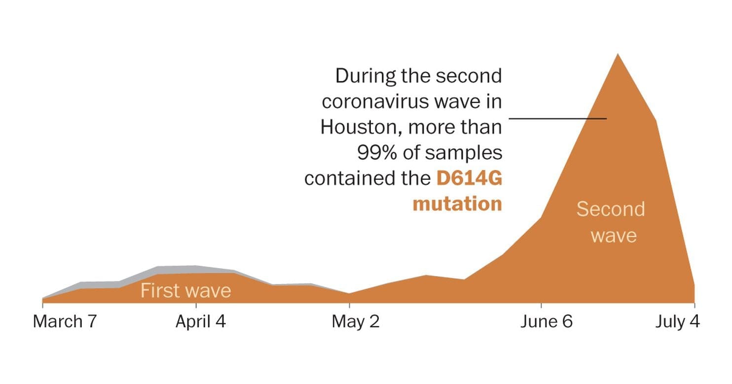 Coronavirus mutation seen in massive new study of genetic sequences from Houston – The Washington Post